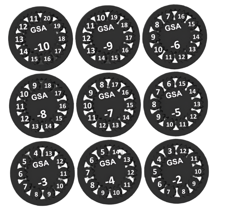 Tiger Edition - Math Fidget Spinners