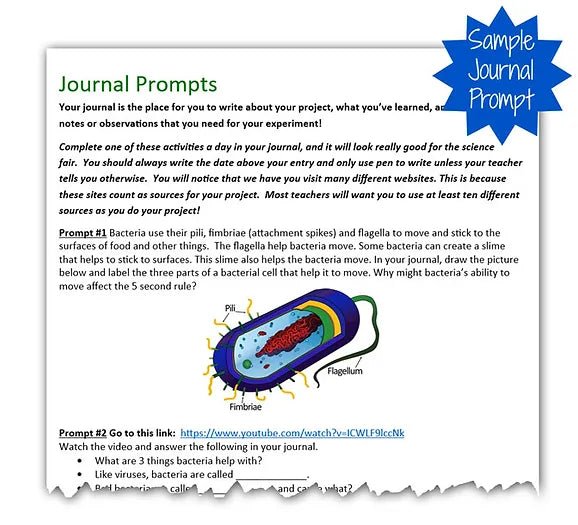 5 Second Rule Science Project Kit