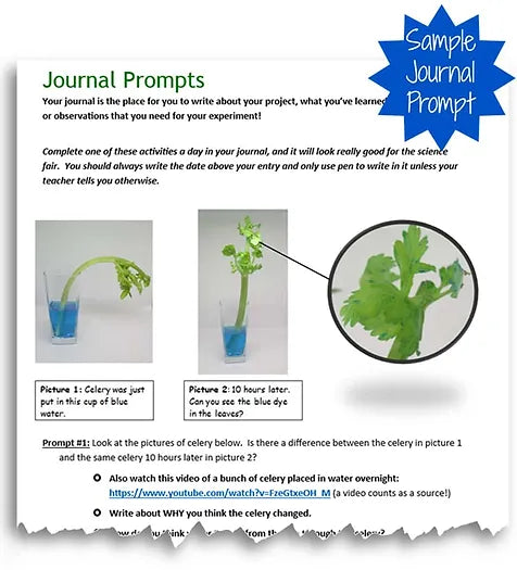Diffusion Races - Science Project Kit