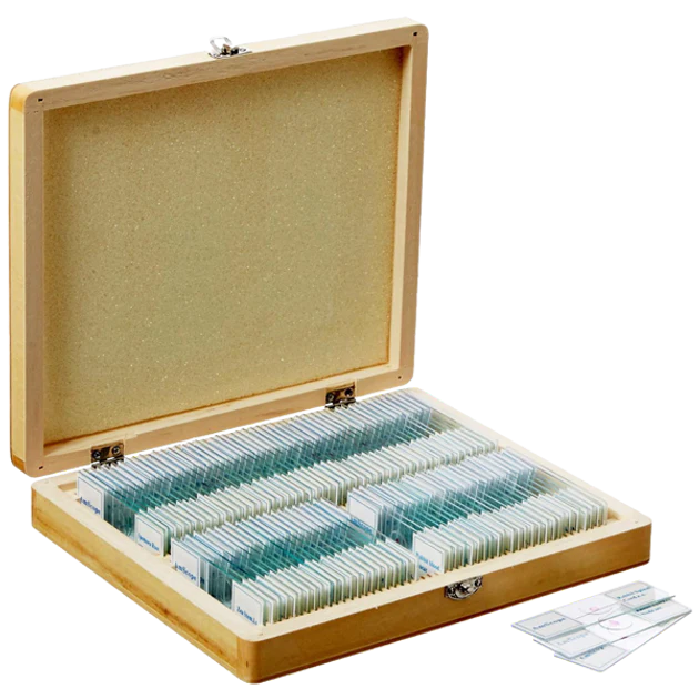 100 Biology Slide Collection