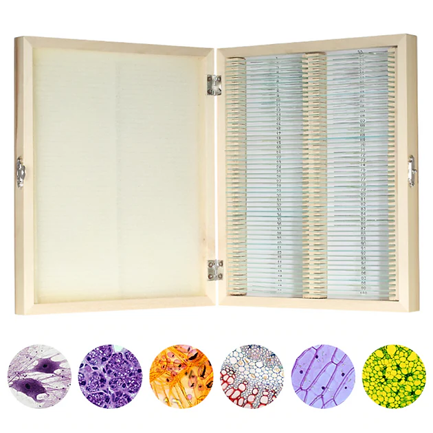 100 Biology Slide Collection