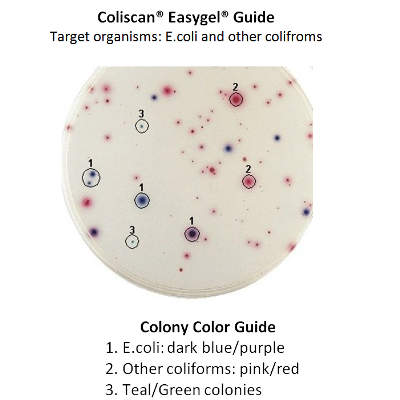 Microbes Microbiology Liquids _ Water Science Fair Experiments